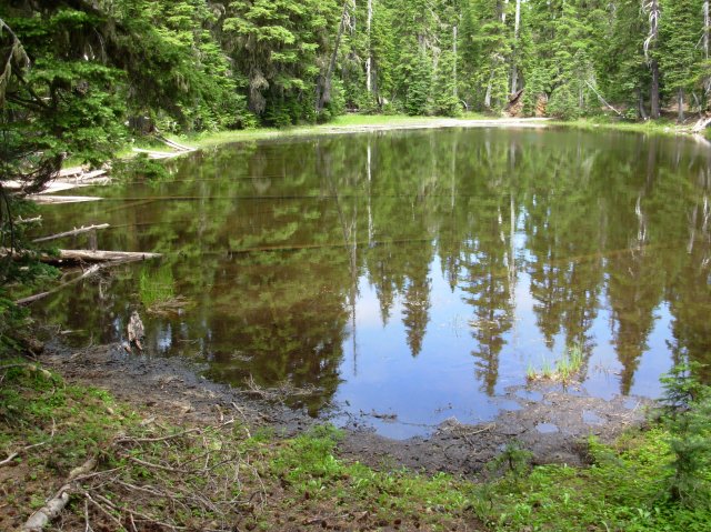 Summer '06 Sunriver 510 